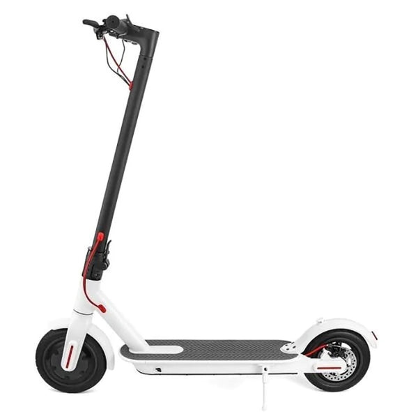E-FOOTBIKE Electric 350W