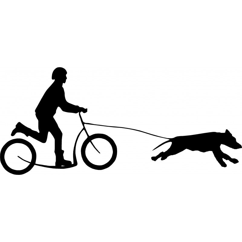 PRACTICE THE SCOOTER WITH YOUR DOG